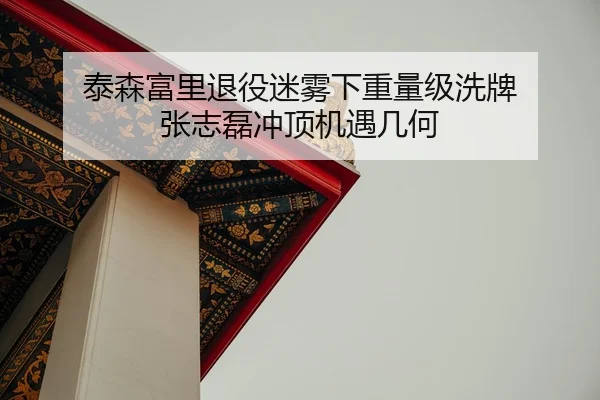 泰森富里退役迷雾下重量级洗牌 张志磊冲顶机遇几何